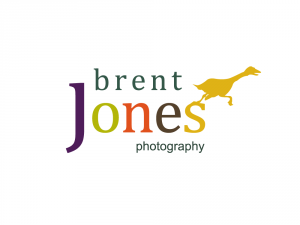 logo design option for Brent Jones